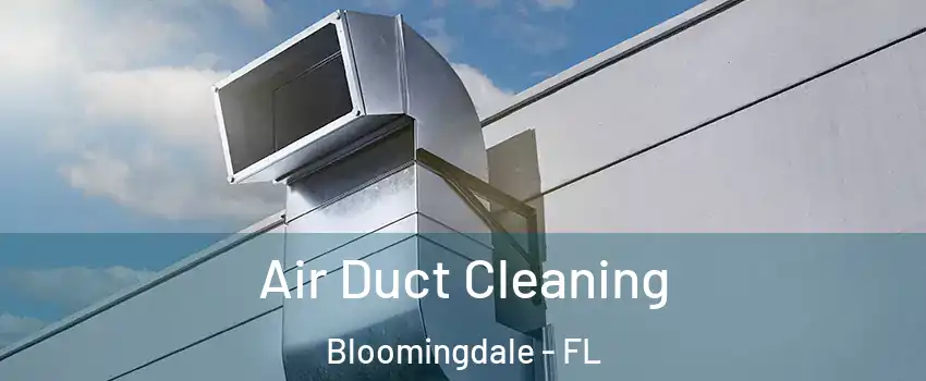  Air Duct Cleaning Bloomingdale - FL