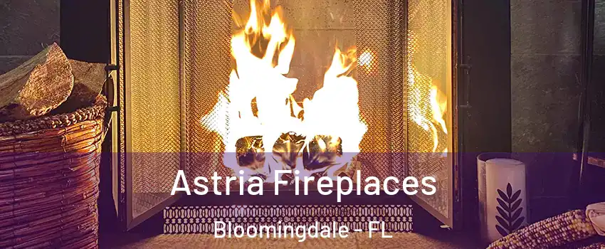  Astria Fireplaces Bloomingdale - FL