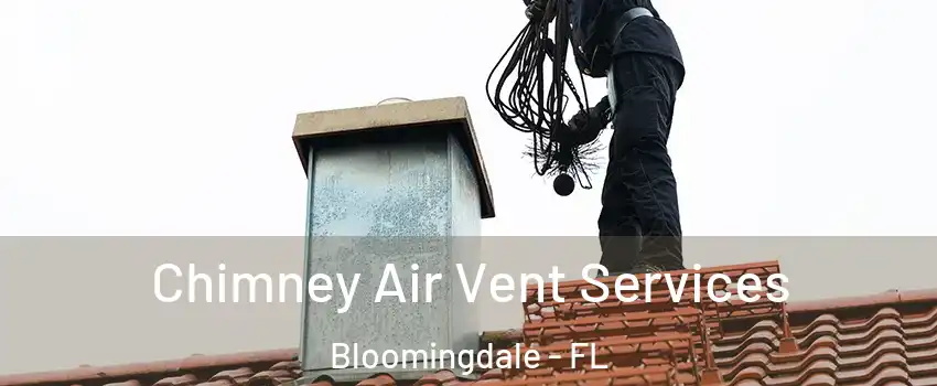  Chimney Air Vent Services Bloomingdale - FL