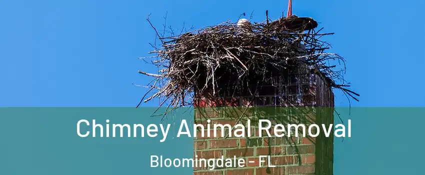  Chimney Animal Removal Bloomingdale - FL