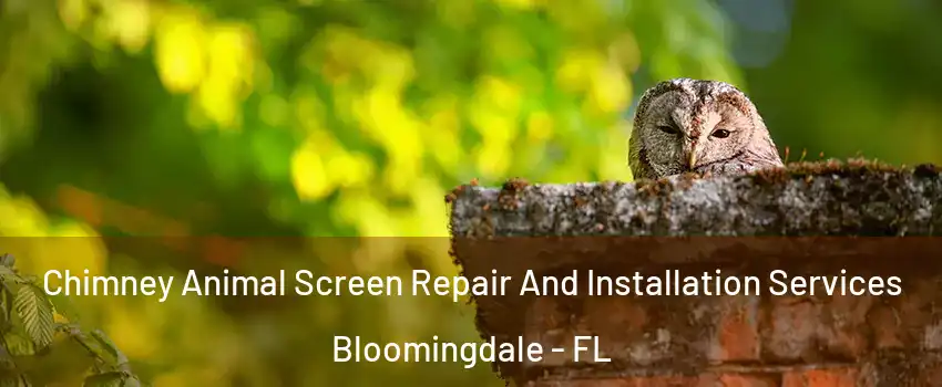  Chimney Animal Screen Repair And Installation Services Bloomingdale - FL