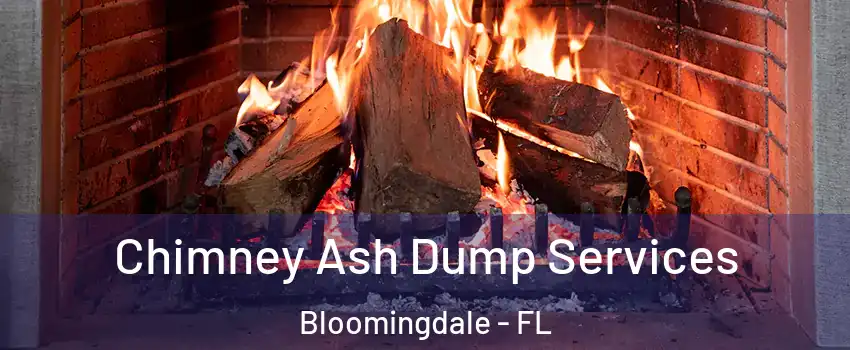  Chimney Ash Dump Services Bloomingdale - FL