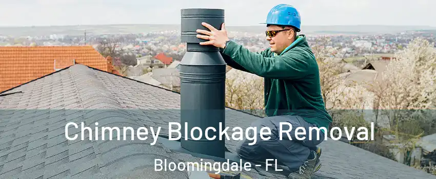  Chimney Blockage Removal Bloomingdale - FL