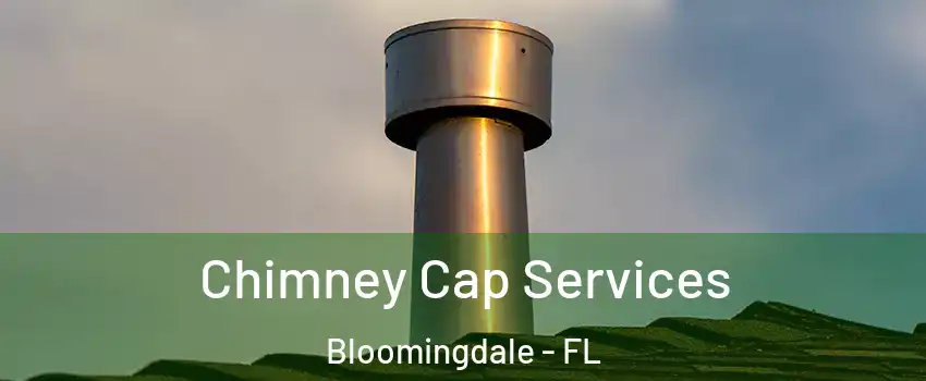 Chimney Cap Services Bloomingdale - FL