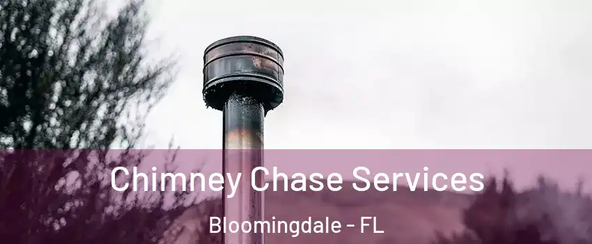  Chimney Chase Services Bloomingdale - FL