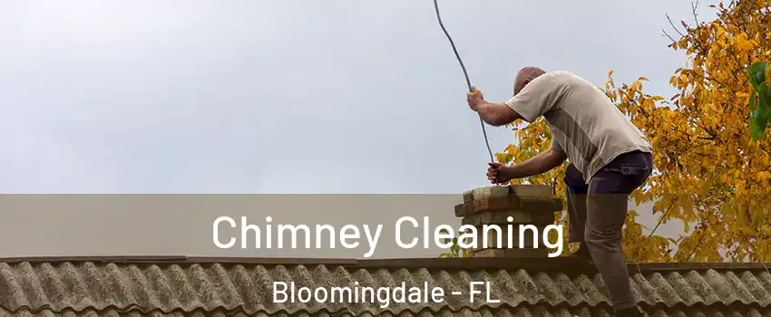  Chimney Cleaning Bloomingdale - FL