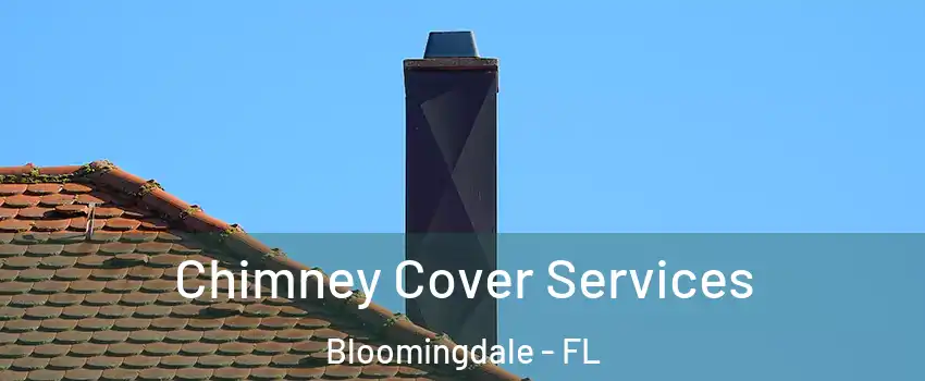  Chimney Cover Services Bloomingdale - FL
