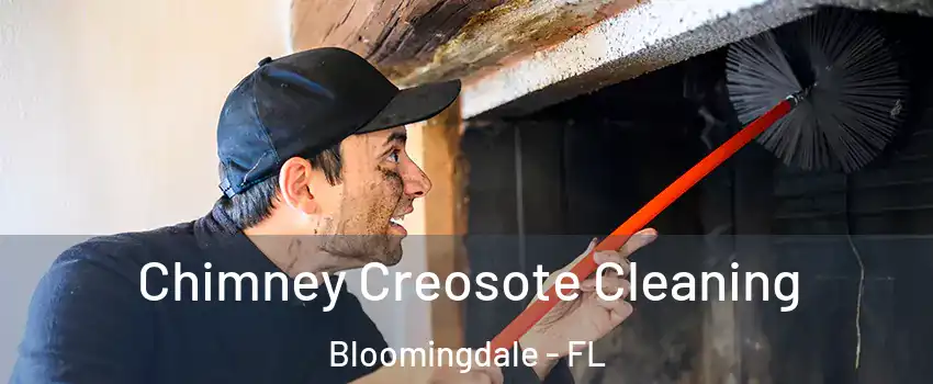  Chimney Creosote Cleaning Bloomingdale - FL