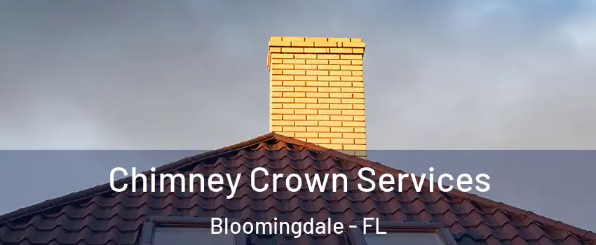  Chimney Crown Services Bloomingdale - FL