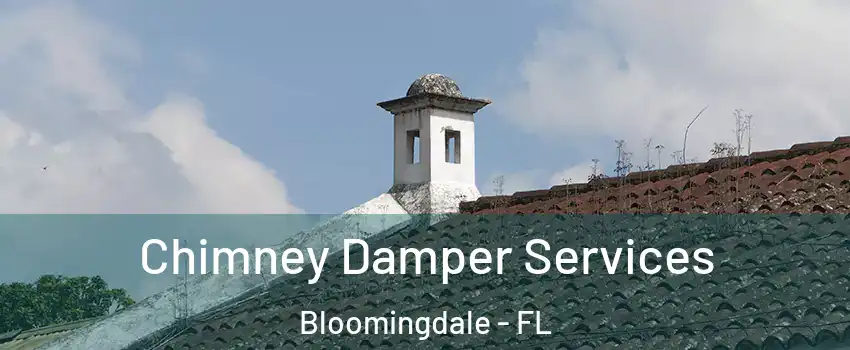  Chimney Damper Services Bloomingdale - FL