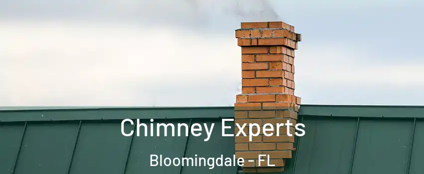  Chimney Experts Bloomingdale - FL