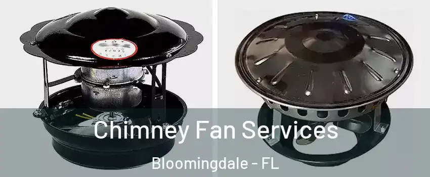  Chimney Fan Services Bloomingdale - FL