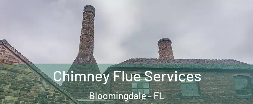  Chimney Flue Services Bloomingdale - FL
