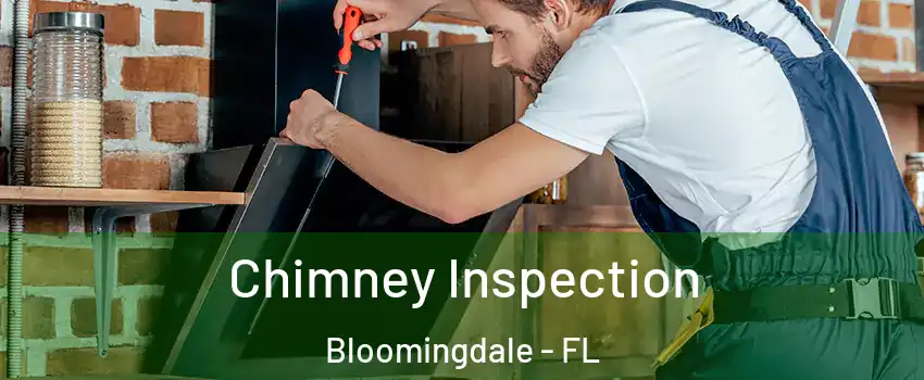  Chimney Inspection Bloomingdale - FL