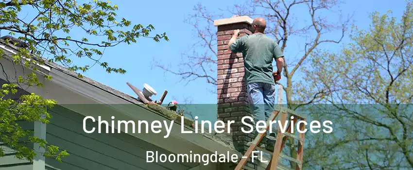  Chimney Liner Services Bloomingdale - FL