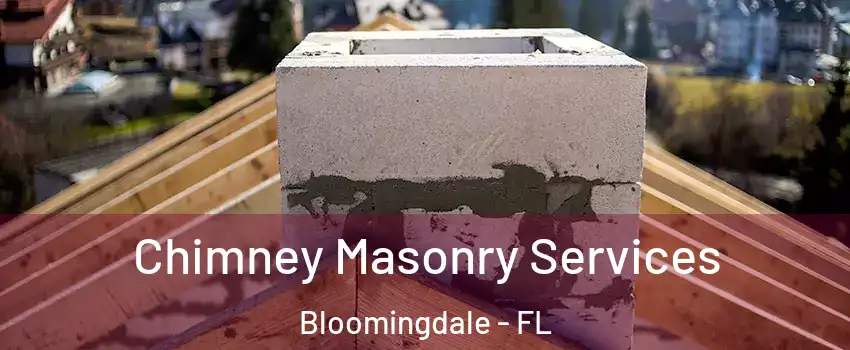  Chimney Masonry Services Bloomingdale - FL