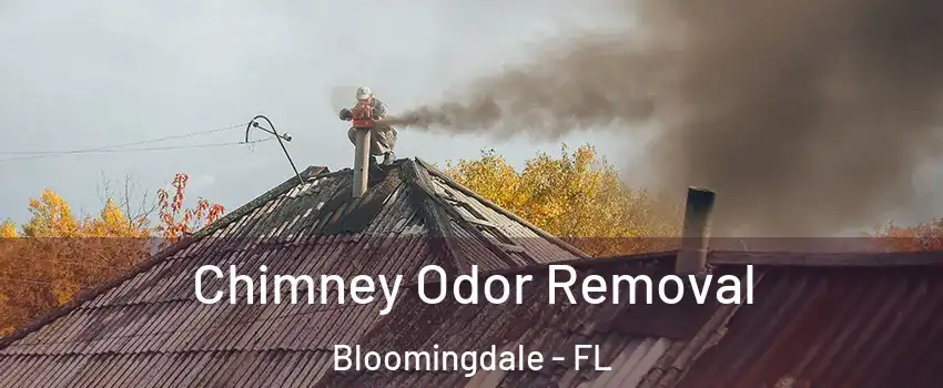  Chimney Odor Removal Bloomingdale - FL