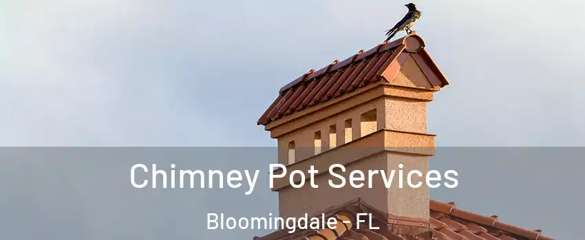  Chimney Pot Services Bloomingdale - FL