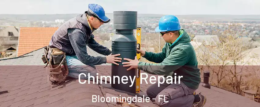  Chimney Repair Bloomingdale - FL