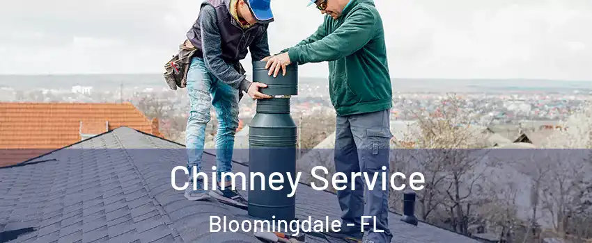  Chimney Service Bloomingdale - FL