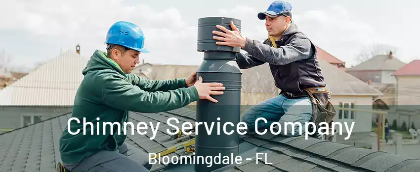  Chimney Service Company Bloomingdale - FL