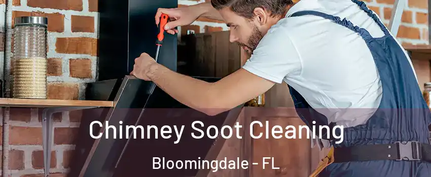  Chimney Soot Cleaning Bloomingdale - FL