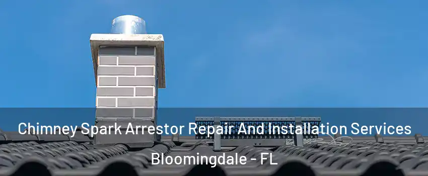  Chimney Spark Arrestor Repair And Installation Services Bloomingdale - FL