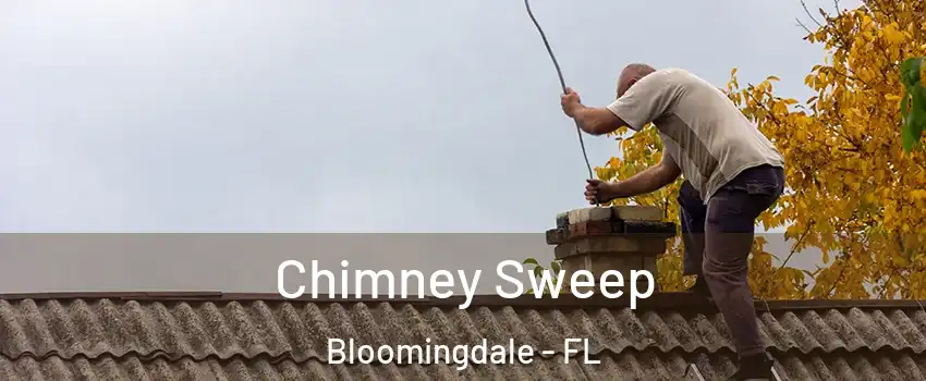  Chimney Sweep Bloomingdale - FL