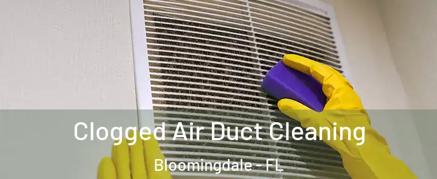  Clogged Air Duct Cleaning Bloomingdale - FL