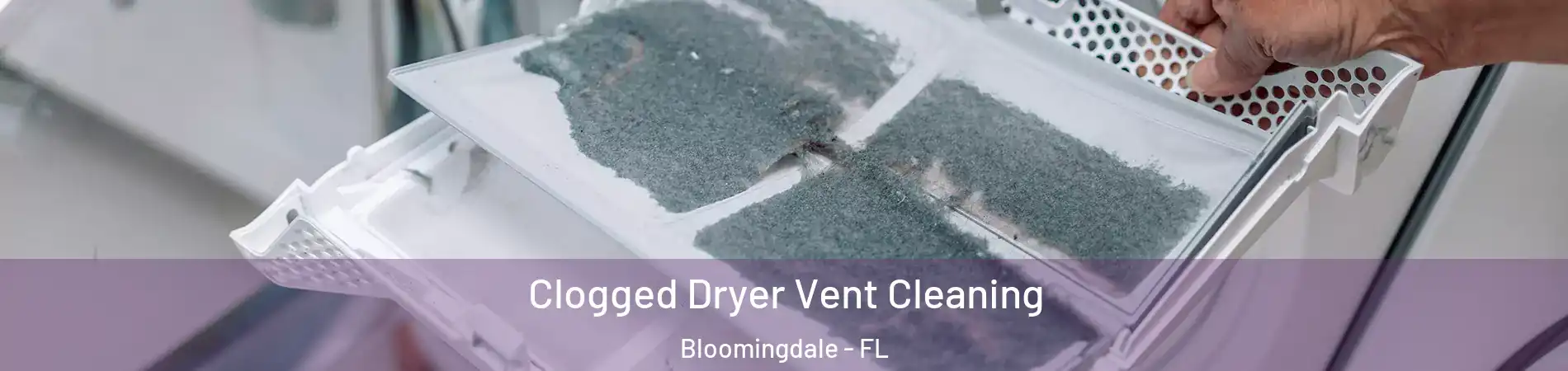  Clogged Dryer Vent Cleaning Bloomingdale - FL