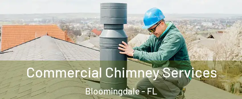  Commercial Chimney Services Bloomingdale - FL