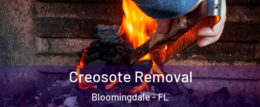  Creosote Removal Bloomingdale - FL