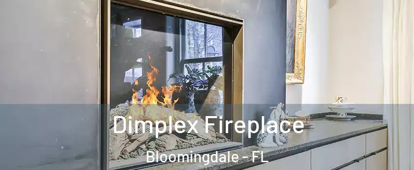  Dimplex Fireplace Bloomingdale - FL