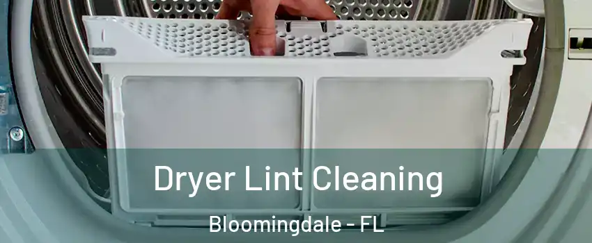  Dryer Lint Cleaning Bloomingdale - FL