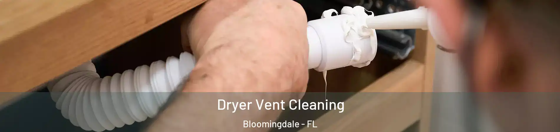  Dryer Vent Cleaning Bloomingdale - FL