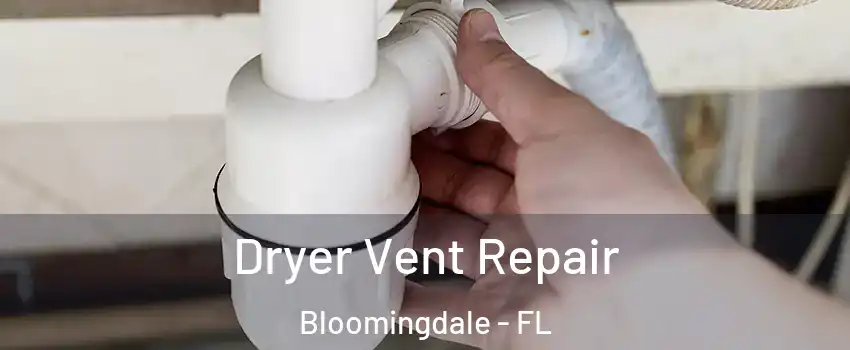  Dryer Vent Repair Bloomingdale - FL