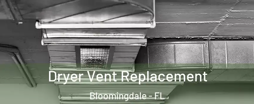  Dryer Vent Replacement Bloomingdale - FL