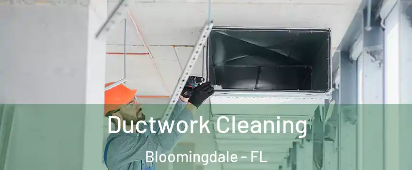  Ductwork Cleaning Bloomingdale - FL