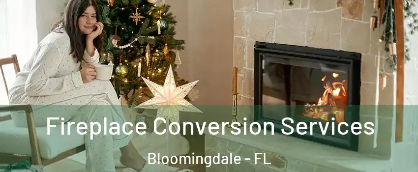  Fireplace Conversion Services Bloomingdale - FL