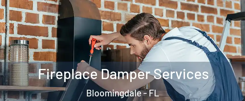  Fireplace Damper Services Bloomingdale - FL