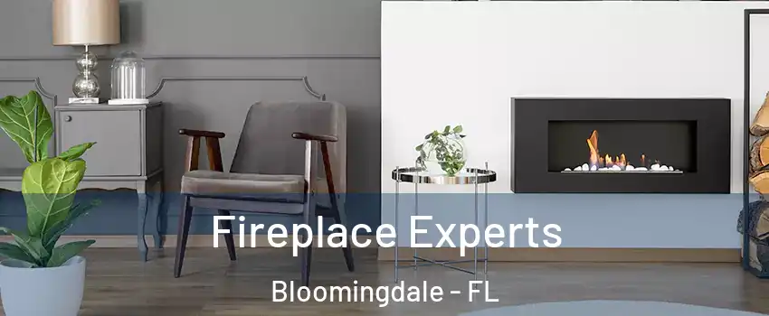  Fireplace Experts Bloomingdale - FL