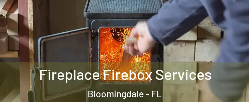  Fireplace Firebox Services Bloomingdale - FL