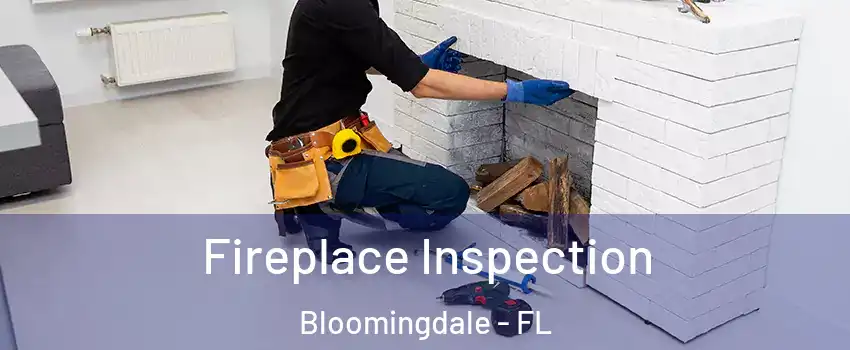  Fireplace Inspection Bloomingdale - FL