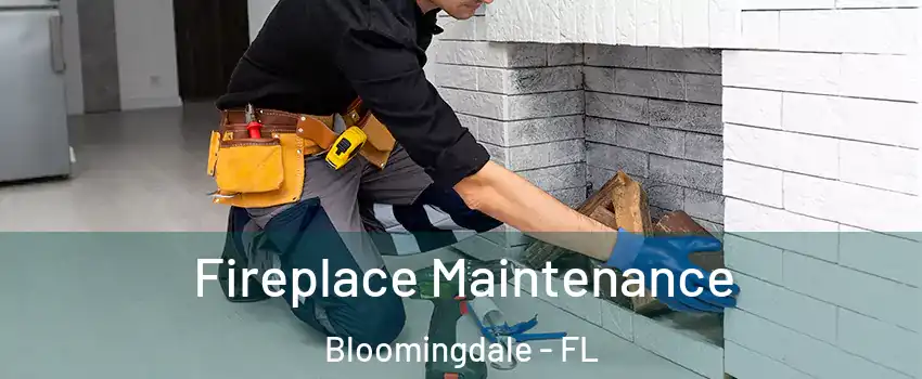  Fireplace Maintenance Bloomingdale - FL