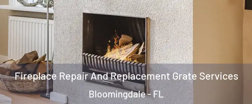  Fireplace Repair And Replacement Grate Services Bloomingdale - FL