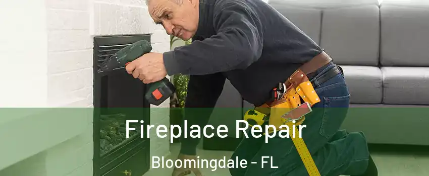  Fireplace Repair Bloomingdale - FL