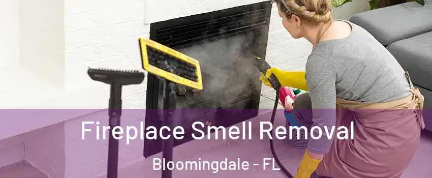  Fireplace Smell Removal Bloomingdale - FL