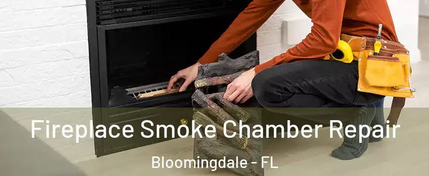  Fireplace Smoke Chamber Repair Bloomingdale - FL