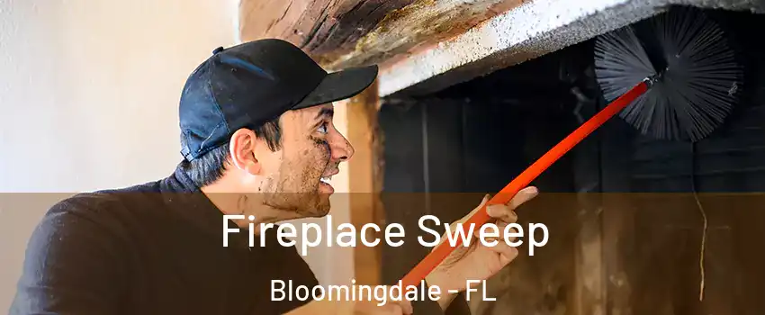  Fireplace Sweep Bloomingdale - FL