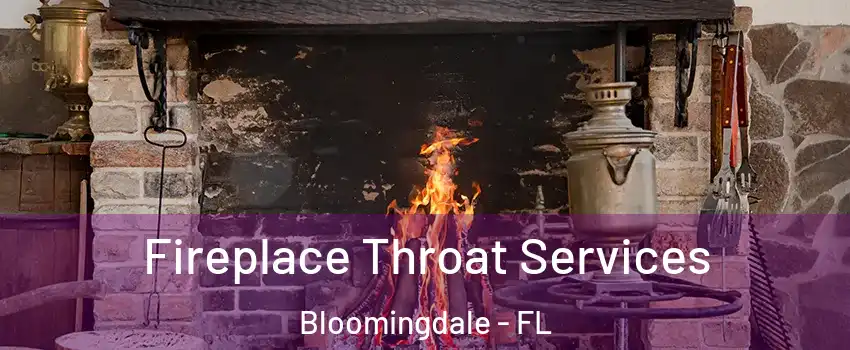  Fireplace Throat Services Bloomingdale - FL